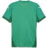 Puma Teamfinal Trikot Kurzarm Herren - Grün  | Größe: L Produktbild-Vorschau 2
