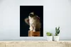 MuchoWow® Poster Eine Ragdoll-Katze sitzt auf einer Stange Produktbild-Vorschau 5