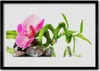 Bild 100x70 MDF-Rahmen Wandkunst Natur Blume Pflanze Produktbild-Vorschau 1