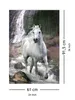 Pferd am Wasserfall Bob Langrish - Poster 61x91,5 cm Produktbild-Vorschau 7