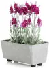 HowHomely | Jardinière - Salvia - 28,5x17 cm - Béton gris - Voir les images du produit 1