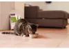 Veterinärmedizin HPM Katze U1 Urologie Struvite Produktbild-Vorschau 7