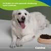 Canina Cellulosepoeder, mengsel, 400 g Productafbeelding-voorbeeld 5