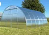 Serre "Sigma" 4x4m en polycarbonate de 6mm. Portes doubles Voir les images du produit 5