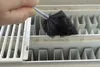 Ziegenhaar Heizkörperbürste - Langer Bürstenkopf mit Carbon Produktbild-Vorschau 2