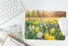 MuchoWow® Mauspad Mousepad Narzisse - Farben - Frühling Produktbild-Vorschau 4