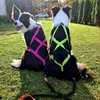 Dingo Hundegeschirre Sled Große L Farbe Rosa Zuggeschirr Produktbild-Vorschau 10