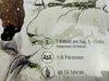 Podróż profesora Charliego dookoła świata Podgląd zdjęcia produktu 9
