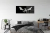 Glasbilder 125x50 Wandkunst Weißer Drache Produktbild-Vorschau 3