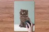 MuchoWow® Mauspad Mousepad Kätzchen - Perserkatze - Zunge - Produktbild-Vorschau 3