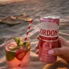 Gordon’s Premium Pink Gin & Tonic 24 x 0,25L – Produktbild-Vorschau 6