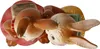 Goebel Hasenmädchen Das Geheimnis (Figur, Steingut) | Voir les images du produit 5