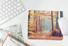 MuchoWow® Mauspad Mousepad Wald - Herbst - Laub 23x19 cm - Produktbild-Vorschau 5