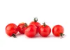 Toraf Gemüsesamen Bajaja Kirschtomate, Packung 0,3g Produktbild-Vorschau 3