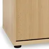 Aktenschrank TYP4000 Buche hell Nachbildung, 2OH, Produktbild-Vorschau 3