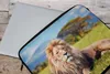 MuchoWow® Laptop Hülle 17 Zoll Laptoptasche Löwe - Savanne Produktbild-Vorschau 4