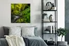 MuchoWow® Poster Schönes Bild vom Dschungel 75x75 cm - Wand Produktbild-Vorschau 4