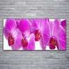 Acrylglasbilder 120x60 Wandbild Druck Blumen Pflanzen Produktbild-Vorschau 2