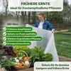 TTL GARDEN Frühbeetvlies 8m² 1,6x5m – 17g/m² Produktbild-Vorschau 7
