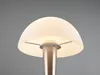 Stolní lampa TRIO RE R59561107 CANARIA E14 4,9 W matný nikl Náhled obrázku produktu 10
