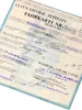 A vintage airship ticket from the Zeppelin company. Voir les images du produit