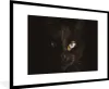 MuchoWow® Gerahmtes Poster Katze - Gold - Schwarz 90x60 cm Produktbild-Vorschau 1
