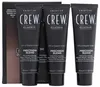 American Crew CLASSIC: PRECISION BLEND Natural Gray Voir les images du produit 3