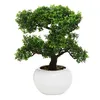 Bonsai 33cm Boltze Produktbild-Vorschau 7