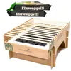 3x CasusGrill Barbecue jetable Barbecue à usage unique Voir les images du produit 1