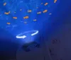 A baby is in a crib, looking up at a turtle-shaped ocean projector that is casting fish and water patterns on the ceiling. Náhled obrázku produktu