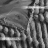 Plüsch Kuscheldecke - Weiche Flauschige Decke Gemütlich Produktbild-Vorschau 5
