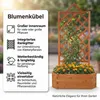 Mucola Blumenkasten mit Rankgitter Pflanzkasten Rankgitter Produktbild-Vorschau 11