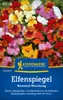 Kiepenkerl Elfenspiegelsamen Nemesia 100 Pflanzen Produktbild-Vorschau 1