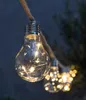 Dehner Solar-Lichterkette Manaus, mit 10 warmweißen Produktbild-Vorschau 4