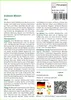 SAFLAX - Essbare Blüten - Mix - 1000 Samen Produktbild-Vorschau 3