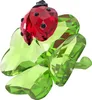 Swarovski Idyllia Marienkäfer und Glücksklee 5666852 Produktbild-Vorschau 4