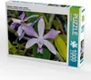 Calvendo Cattleya violacea rosea anelata 1000 Teile Puzzle Produktbild-Vorschau 1