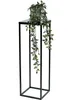 A black metal plant stand with a potted plant on top, with the plant's vines hanging down. Voir les images du produit