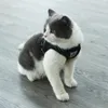 A cat wearing a black harness sits on a gray wooden floor. Podgląd zdjęcia produktu