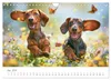 Zauberhafte Dackel (Wandkalender 2027 DIN A4 quer), Produktbild-Vorschau 13