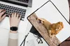 MuchoWow® Laptop Hülle 14 ZollLöwe - Mähne - Tier Produktbild-Vorschau 2