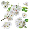 AG Design Wandstickers Apfelblüte, 30 x 30 cm Produktbild-Vorschau 1