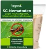 SC-Nematoden gegen Maulwurfsgrillen und Wiesenschnaken - 200 Mio. für 400 m² oder 1000 L Blumenerde – Produktabbildung Produktbild-Vorschau