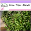 SAFLAX - Zioła - Tajski - Bazylia - 200 Nasiona - Ocimum Podgląd zdjęcia produktu 6