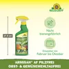 Neudorff Armisan AF PilzFrei Obst- und Gemüse MehltauFrei Produktbild-Vorschau 3