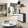 A modern living room and entryway setting with a dresser, shelves, and a coffee table. Podgląd zdjęcia produktu