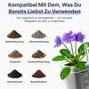 Anzuchttöpfe transparent mit Etikett | 12 Stück quadratisch Produktbild-Vorschau 2