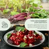 Rote Beete Samen (Detroit Globe, 50 Korn) - Rote Bete Produktbild-Vorschau 3