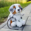 Pluszowy owczarek australijski ze smyczą 27 cm Eco-f. Podgląd zdjęcia produktu 7