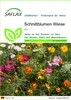 SAFLAX - Wildblumen: Schnittblumen Wiese - 1000 Samen - 20 Produktbild-Vorschau 1